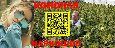 Альфа ПВП Краснознаменск