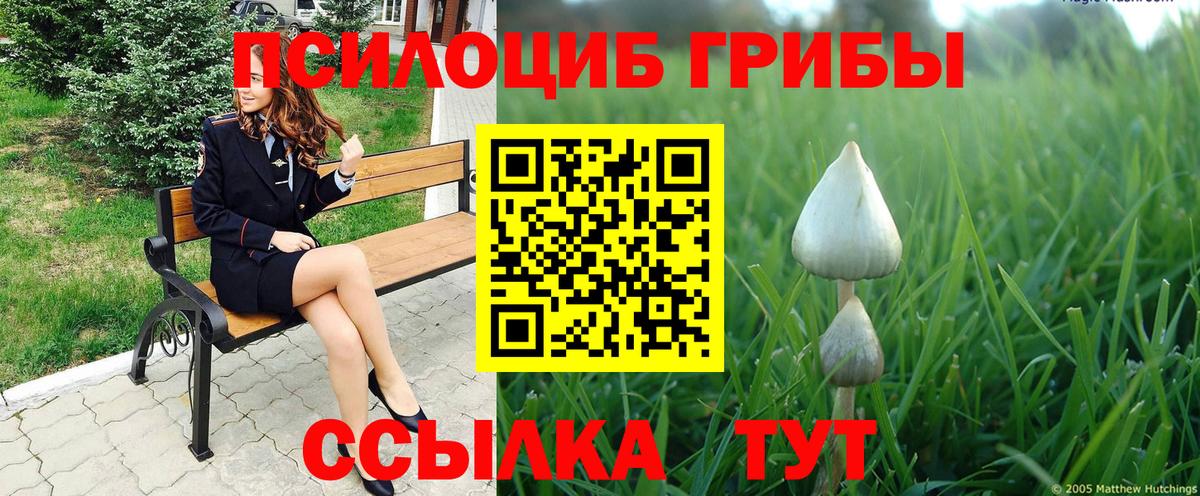 Добрянка  Псилоцибиновые грибы GOLDEN TEACHER  Вход с VPN 